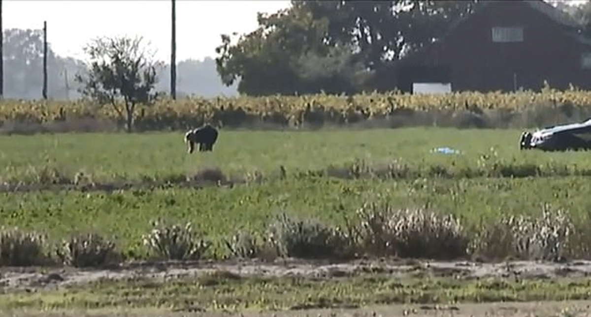 Mujer muere tras atascarse el paracaídas con el que saltó