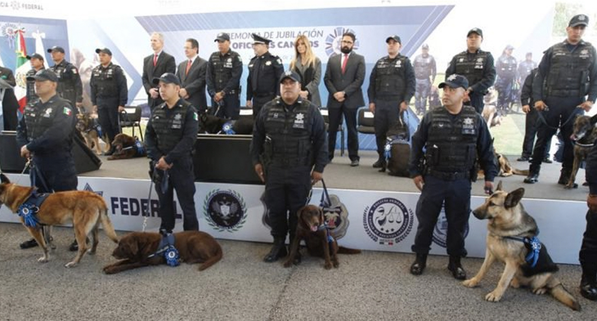 Jubilan a 20 oficiales caninos de la Policía Federal