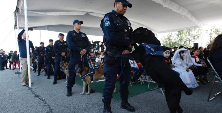 Jubilan a 20 oficiales caninos de la Policía Federal - perros