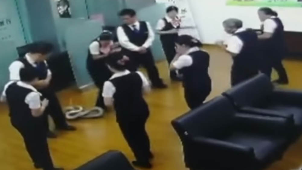 #Video Pitón de dos metros cae sobre trabajadores de banco