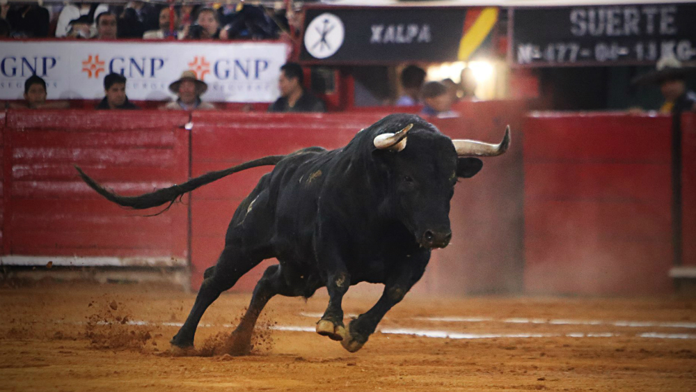 Los carteles de la Temporada Grande 2018-2019 en la Plaza México