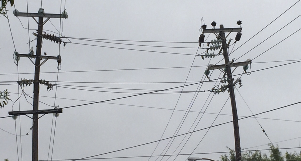 Empresas de telecomunicaciones podrán utilizar postes de CFE