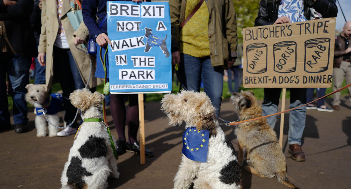 Perros “protestan” contra el Brexit en Londres