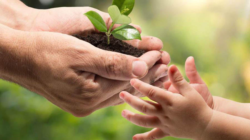 ¿Qué hacer para frenar el cambio climático?