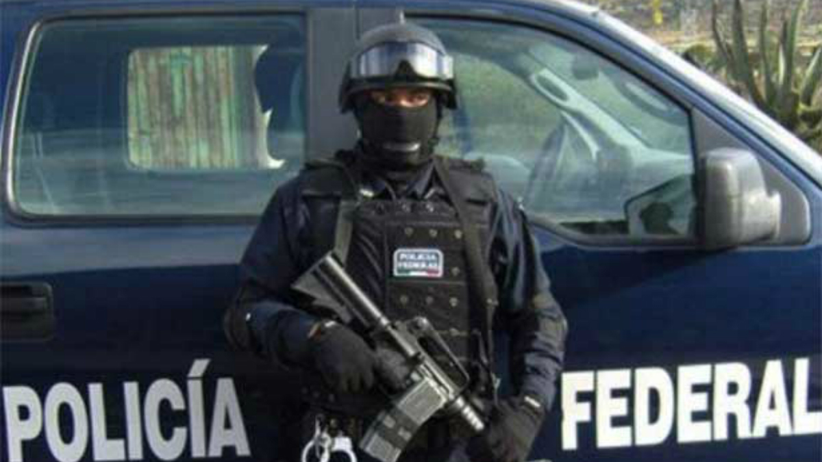 Organizaciones civiles buscarán hablar de seguridad con próximo gobierno Organizaciones civiles buscarán hablar de seguridad con próximo gobierno