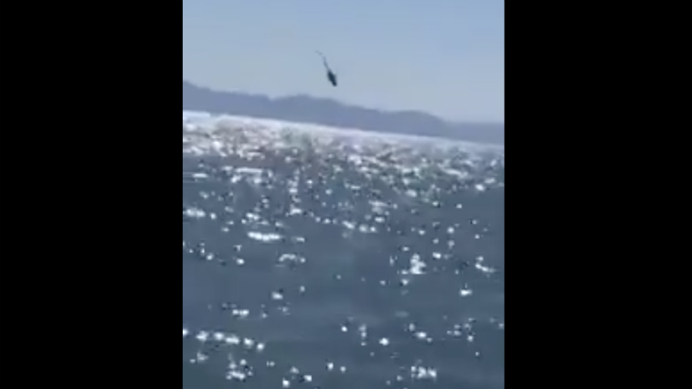 Cae helicóptero de la Marina en el Golfo de California