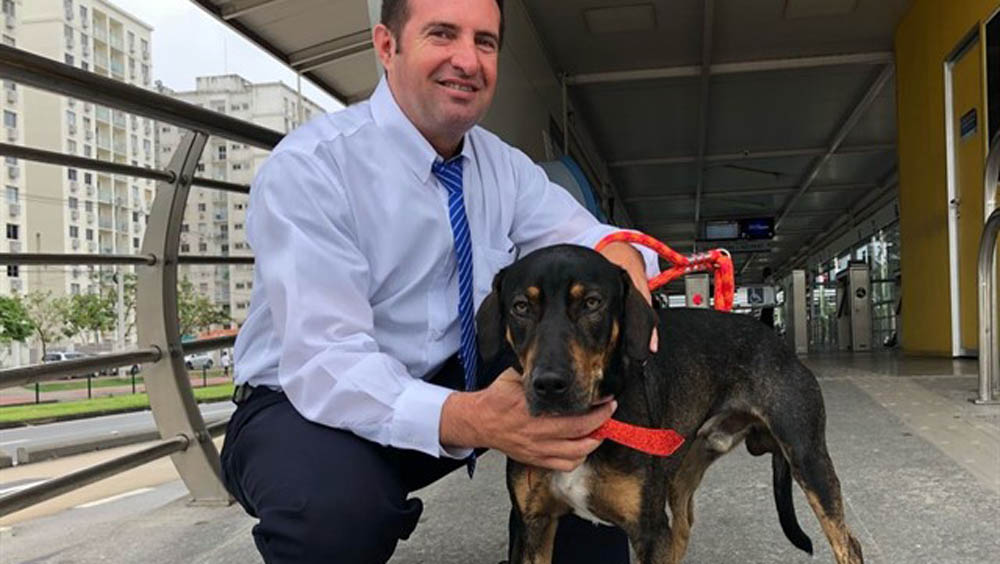 #Video Aplauden a chofer de autobús por rescatar a perro - silvio-y-olimpicos