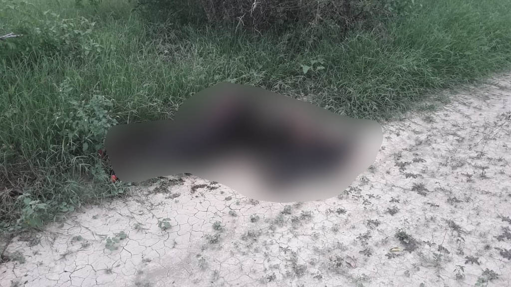 Hallan nueve cadáveres en centro de Tamaulipas - tamaulipas-cuerpos-hallados-el-olivo