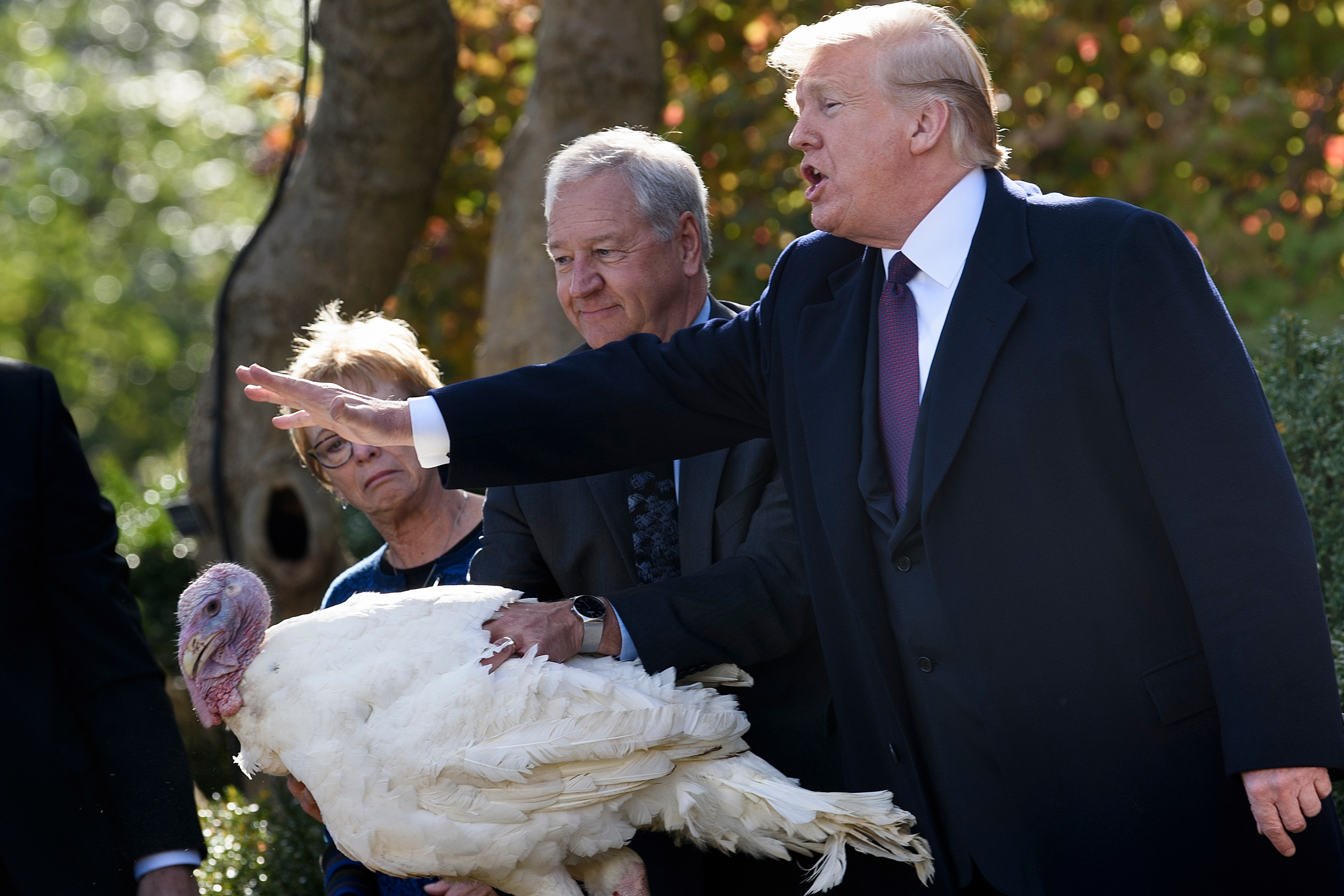 #Video Donald Trump perdona a pavo - 000-1az8bc