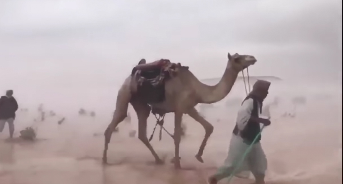 #Video Lluvias torrenciales en desierto de Arabia Saudita