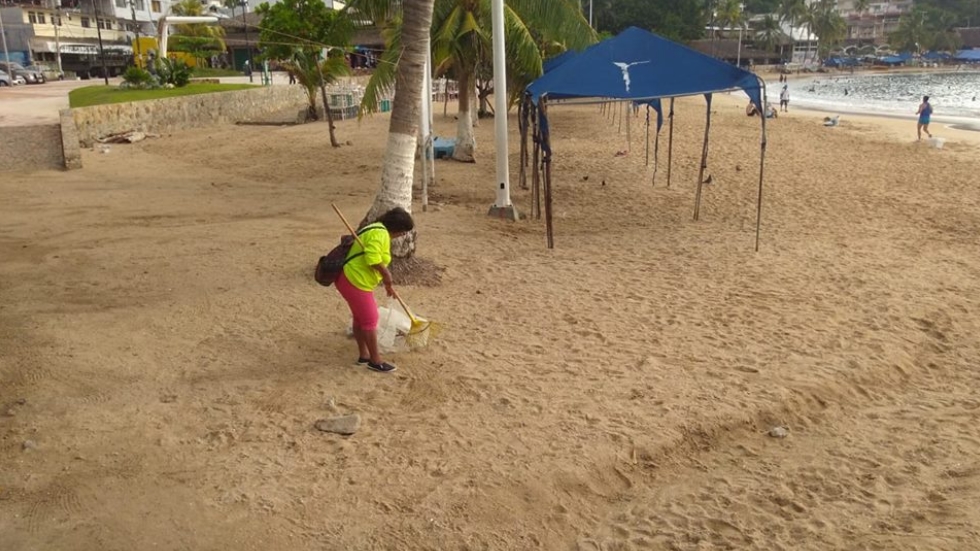 Tras puente recolectan más de 110 toneladas de basura en playas de Acapulco - basura-playas-acapulco-2