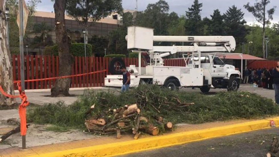 Embellecen alrededores de la Cámara de Diputados para AMLO
