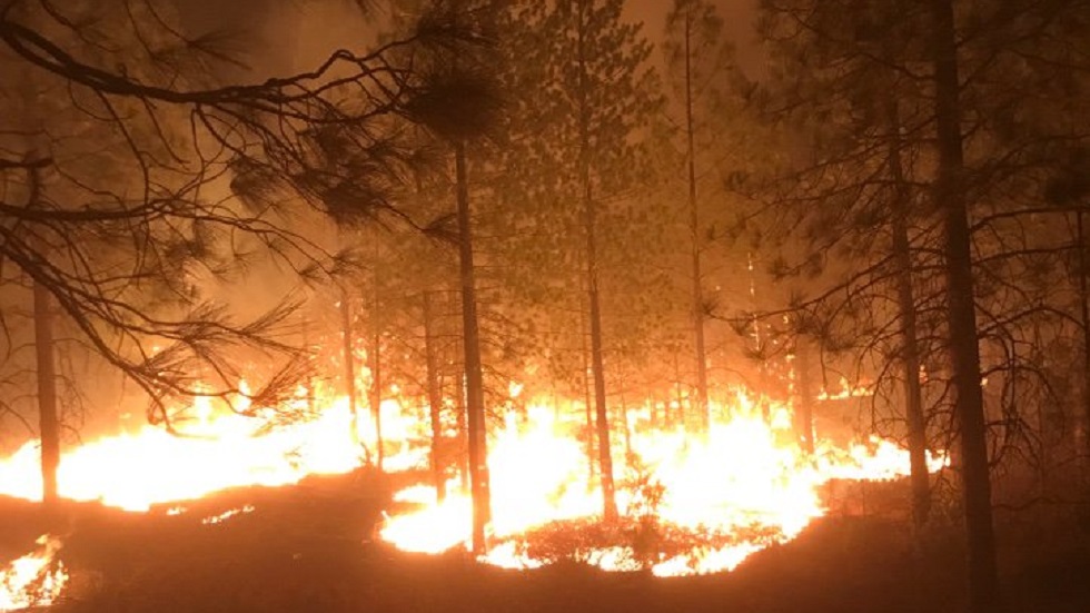 Trump corta ayuda a California para incendios Trump corta ayuda a California para incendios