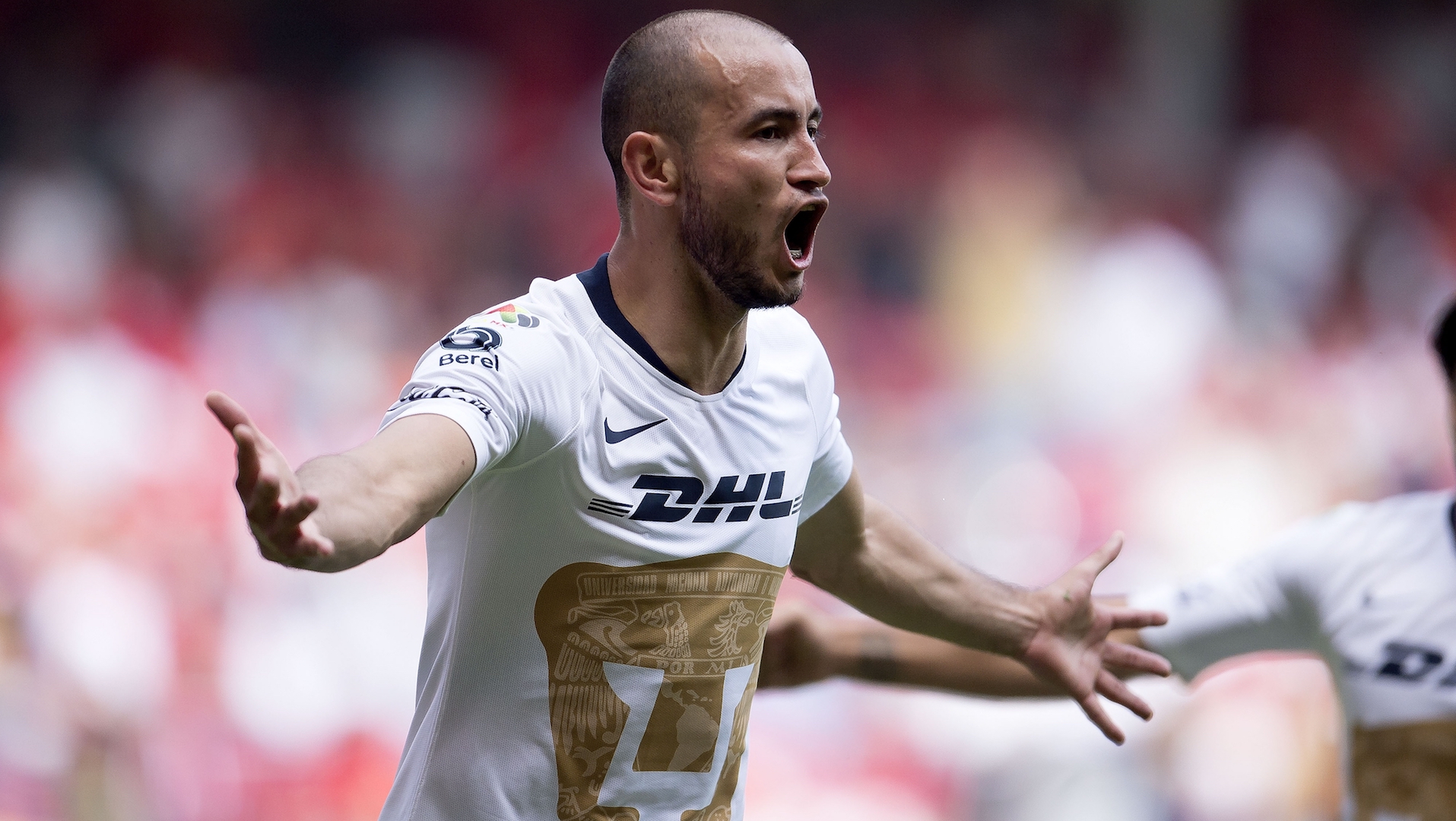 Pumas a la liguilla