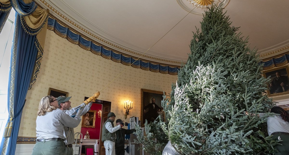 #Video La espectacular decoración navideña de la Casa Blanca - colocacion-del-arbol-de-navidad-principal-de-la-casa-blanca