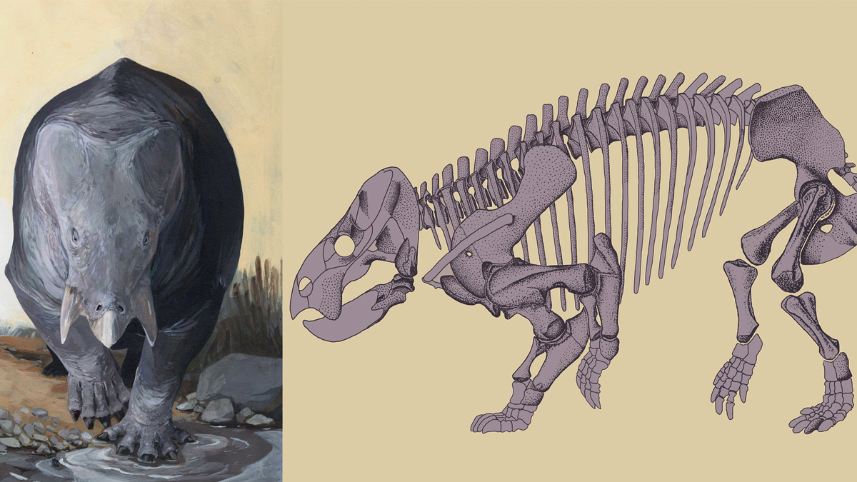 Descubren a gigantesco antepasado del rinoceronte y el hipopótamo