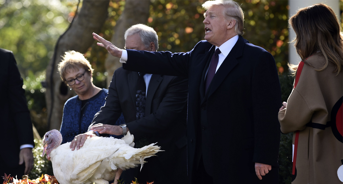 #Video Donald Trump perdona a pavo