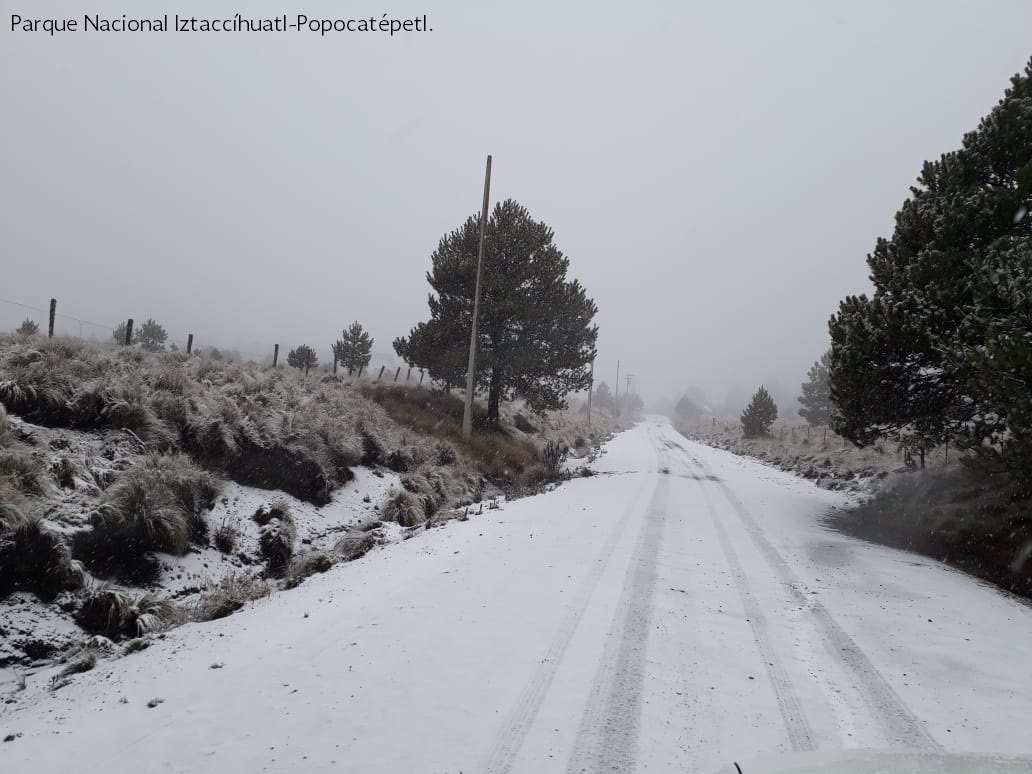 Aplican Operativo Invernal en Áreas Naturales Protegidas - dsej47xv4aajaqn