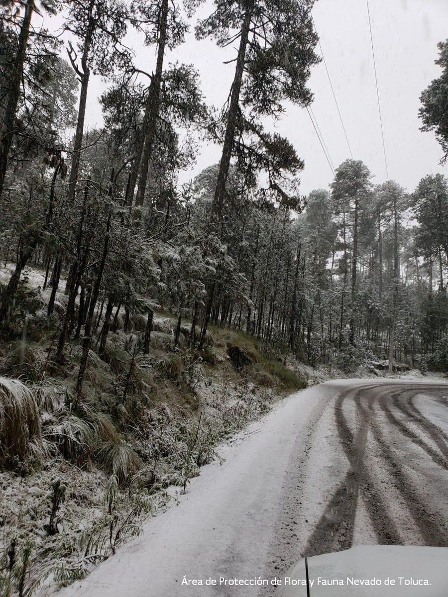 Recomendaciones para el ascenso al Nevado de Toluca - dsek05zvaaafmao