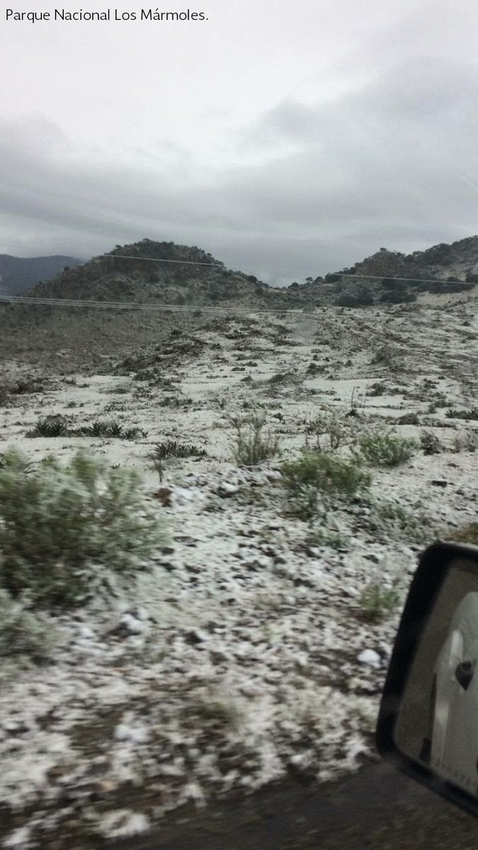 Aplican Operativo Invernal en Áreas Naturales Protegidas - dseke2qvsaamau1