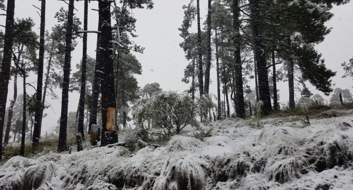Recomendaciones para el ascenso al Nevado de Toluca