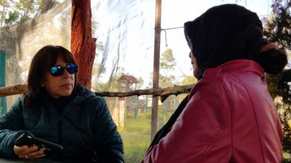 Violencia doméstica, la otra cara de las migrantes centroamericanas - elisa