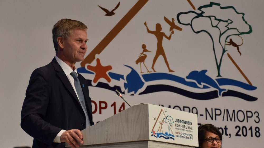 Renuncia director del PNUMA tras auditoría de viajes oficiales