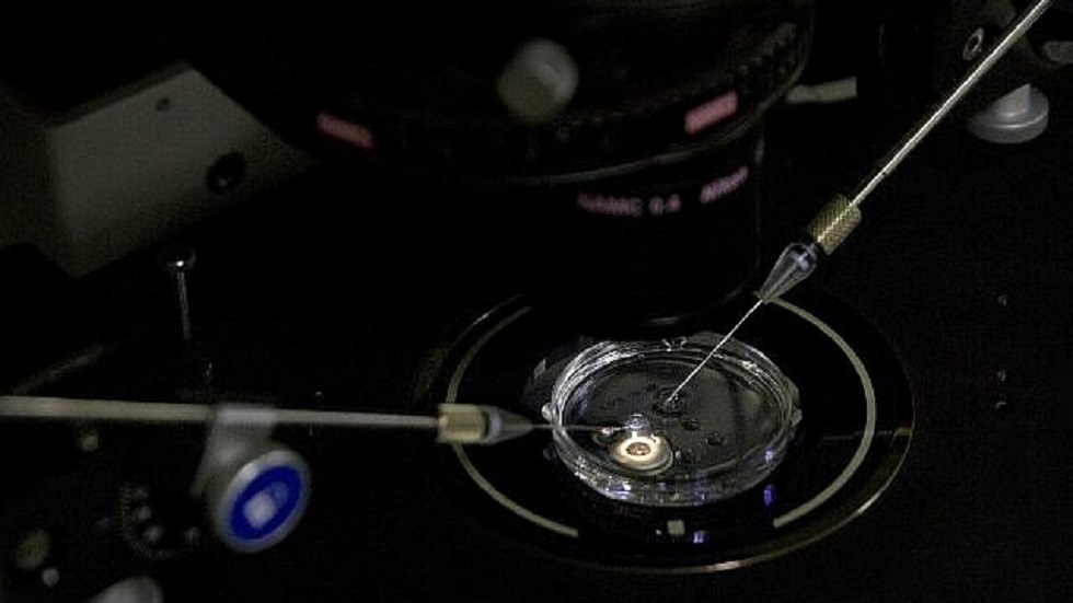 Científico chino suspende ensayos de bebés genéticamente modificados - fecundacion-in-vitro