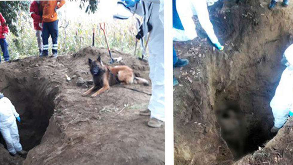 Asesinan a 15 y hallan cadáveres de 8 secuestrados en Puebla