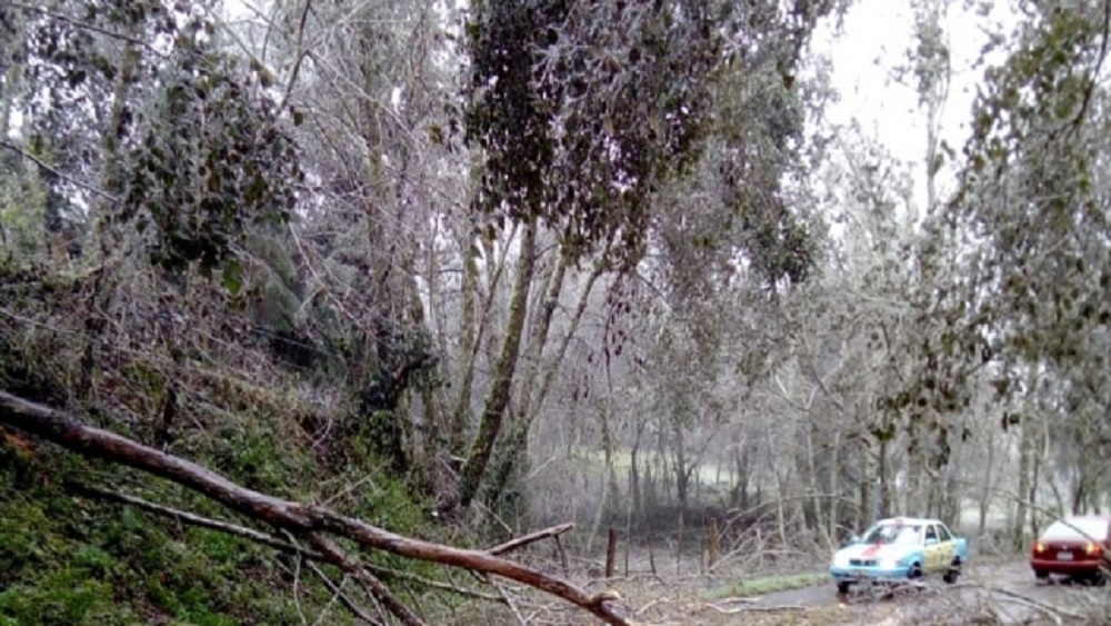 Declaran emergencia en 17 municipios de Puebla por helada