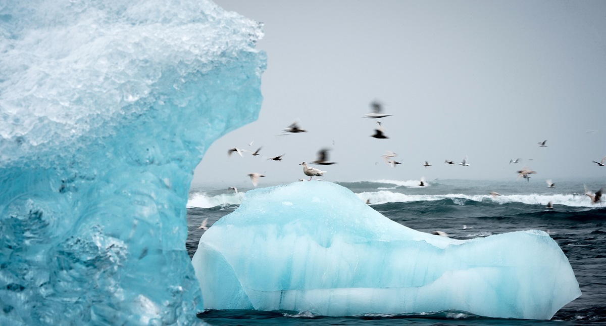 Declararían al 2018 el cuarto año más cálido jamás registrado - hielo
