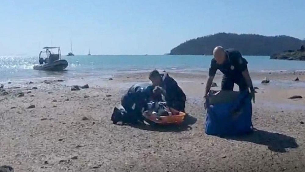 Tiburón mata a hombre en Australia