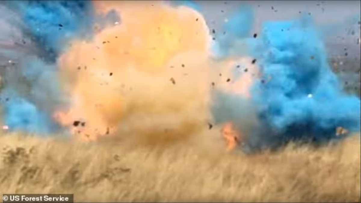 #Video Fiesta termina en incendio forestal en Arizona