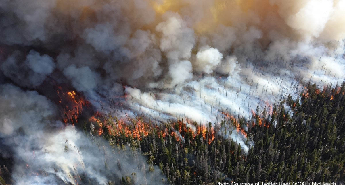 Aumenta a 44 el número de muertos por incendios en California Aumenta a 44 el número de muertos por incendios en California