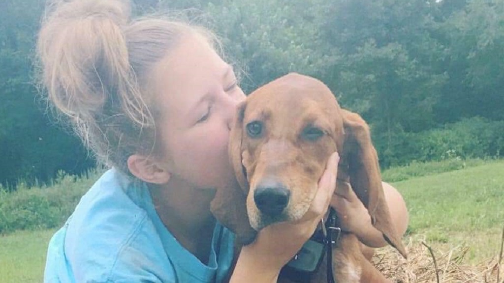 Muere niña de 12 años al intentar salvar a su perro de ser atropellado