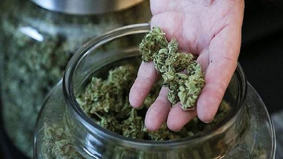 Jesús Orta descarta plantíos de mariguana a gran escala en la CDMX Jesús Orta descarta plantíos de mariguana a gran escala en la CDMX