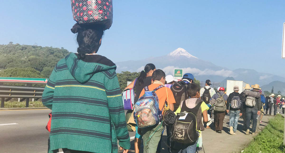 Migrantes en Veracruz parten hacia la Ciudad de México - migrantes-caminan-por-la-carretera-hacia-la-cdmx