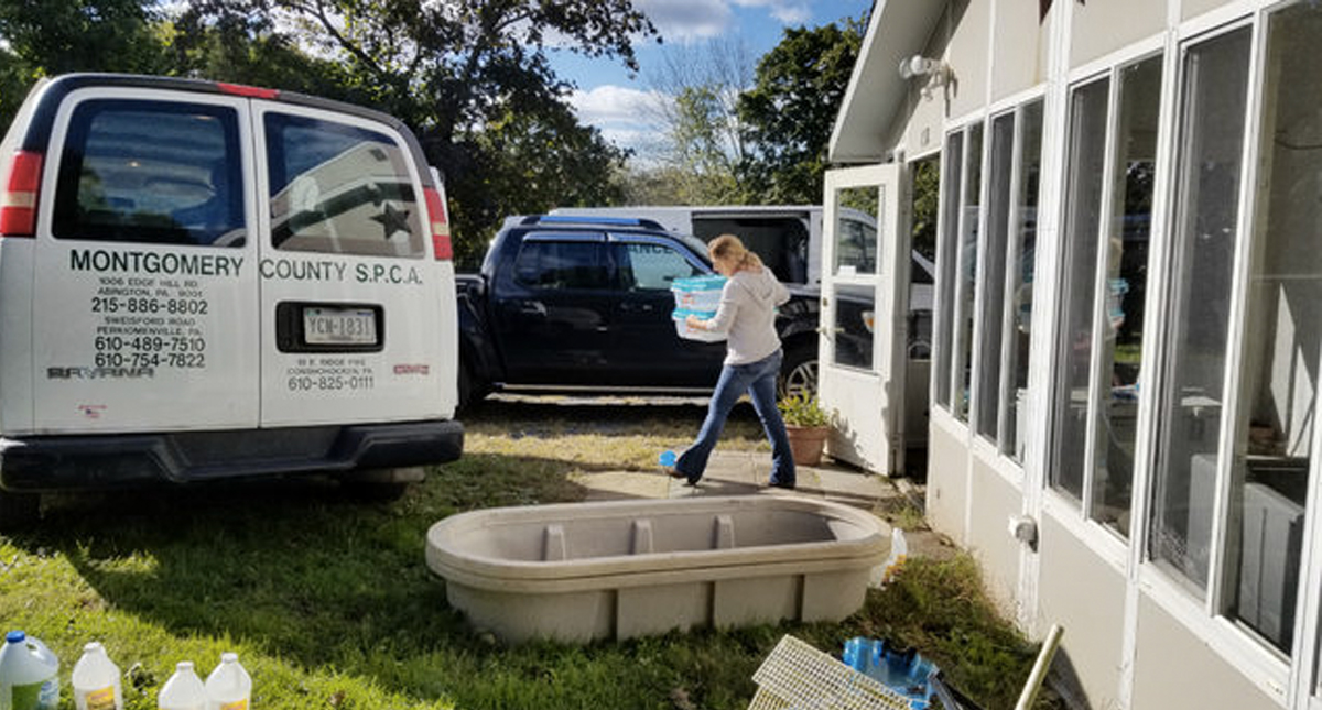 Pareja en Estados Unidos albergaba al menos 240 animales exóticos