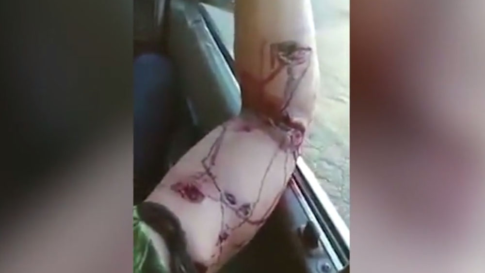 #Video León muerde a ebrio tras meter brazo a jaula