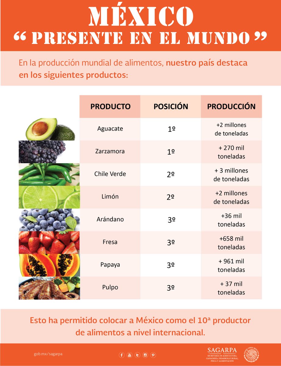 México afianza exportación de alimentos a Europa - productos-mas-producidos-en-mexico