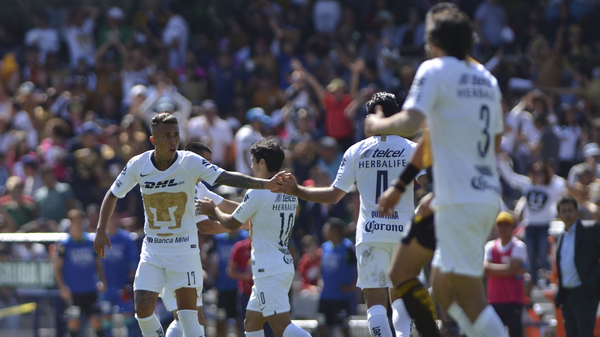 Pumas a la Liguilla como tercero