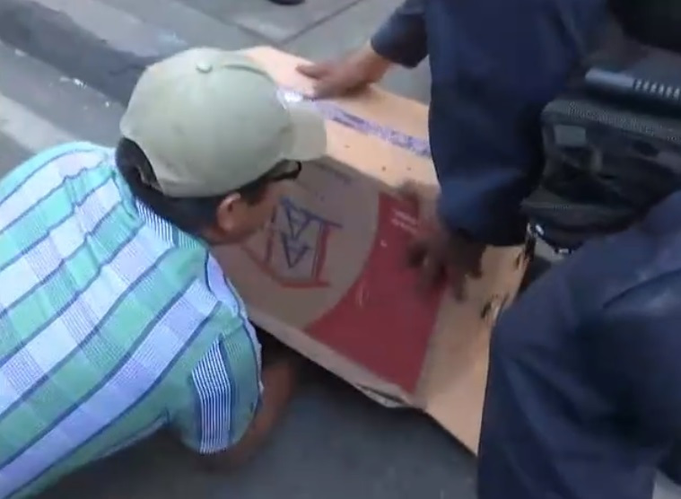 #Video Encuentran a cacomixtle en calles del Centro de la CDMX - recaptura-de-cacomixtle