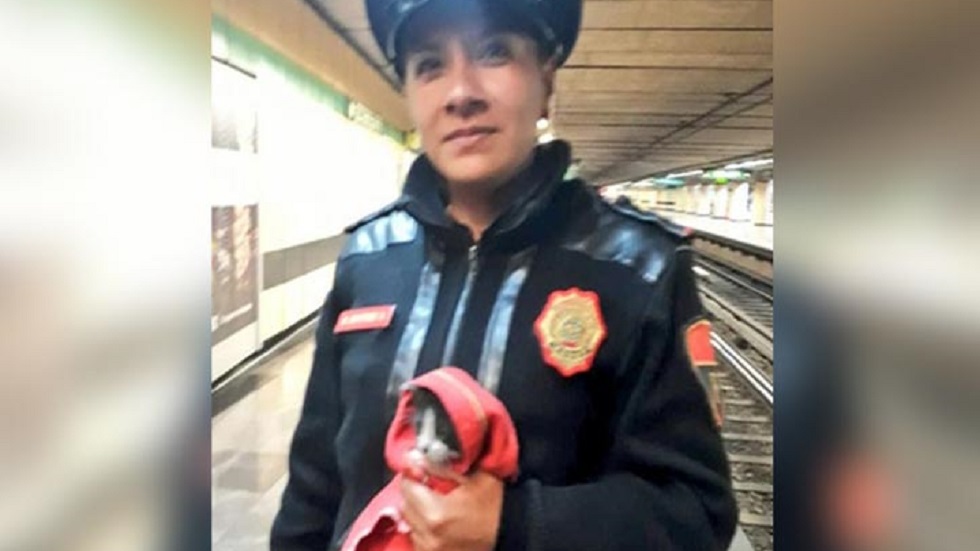Policías rescatan a gato en vías del Metro Iztapalapa