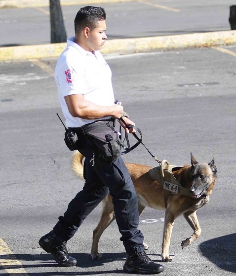 INE jubilará a dos perros de su Unidad Canina - semoviente-del-ine