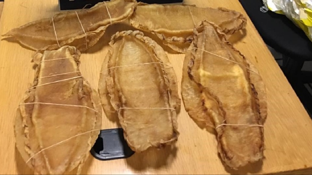 Vinculan a proceso a chino por tráfico de buches de totoaba
