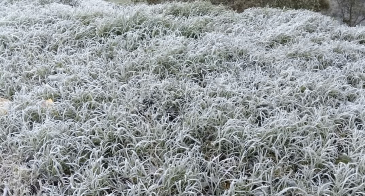 Varios municipios de Veracruz amanecen con nevadas - veracruz-nevada