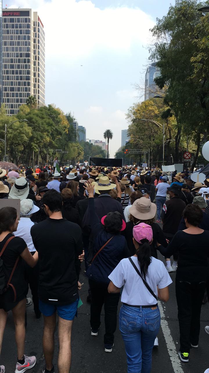 Marchan del Ángel al Zócalo a favor del NAIM - whatsapp-image-2018-11-11-at-114435-am-2