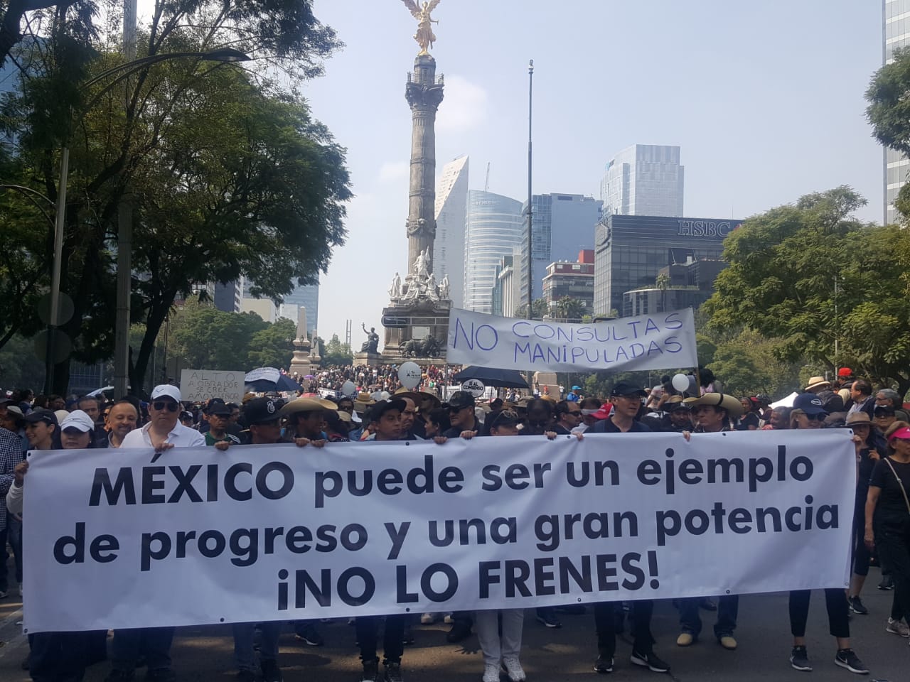 Marchan del Ángel al Zócalo a favor del NAIM - whatsapp-image-2018-11-11-at-114435-am-3