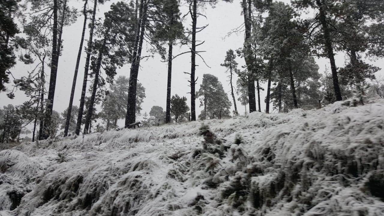 Nevada afecta zona del Nevado de Toluca - whatsapp-image-2018-11-14-at-114343-am-1