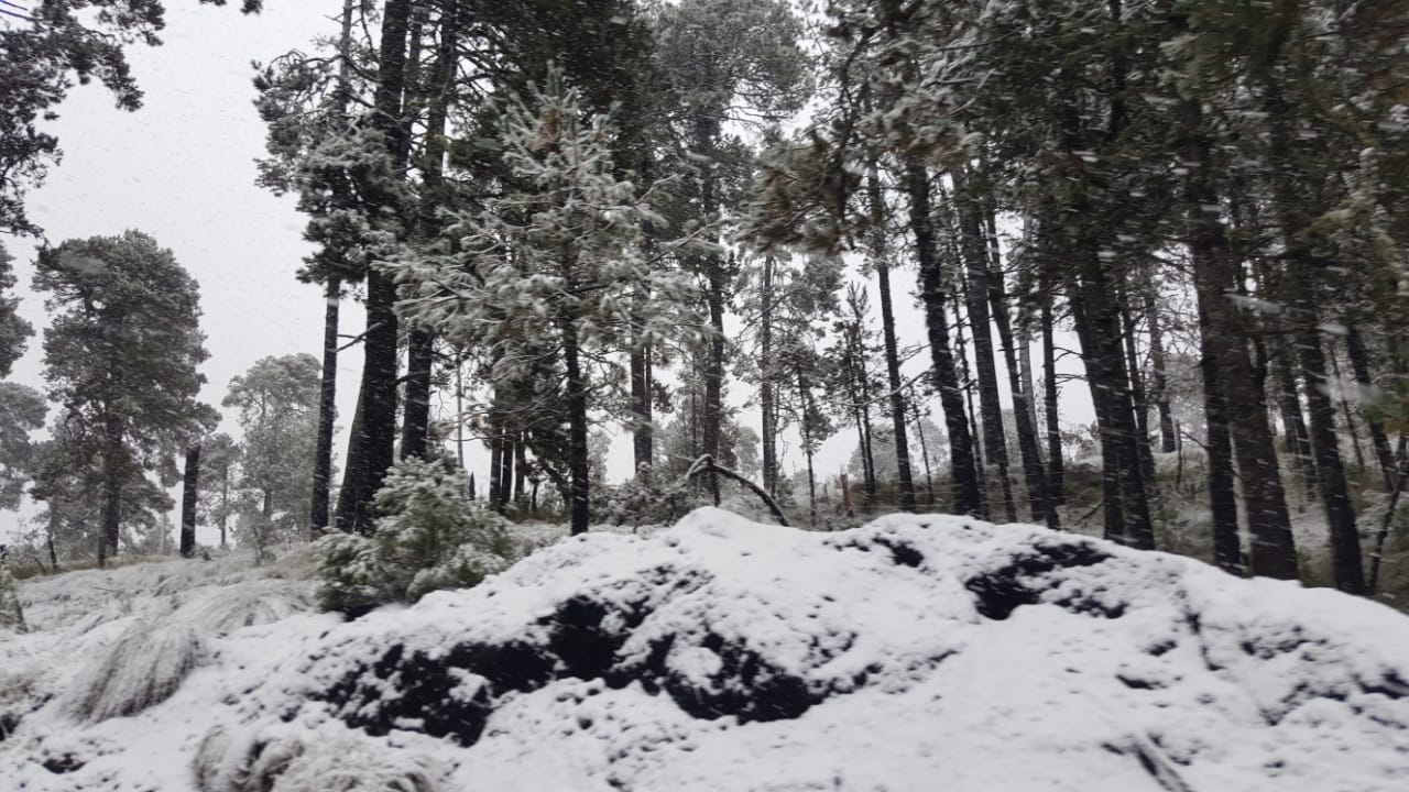 Nevada afecta zona del Nevado de Toluca - whatsapp-image-2018-11-14-at-114343-am